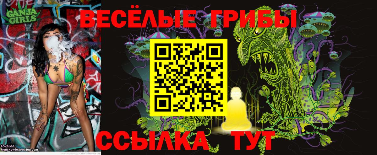 Псилоцибиновые грибы MAGIC MUSHROOMS Горячий Ключ